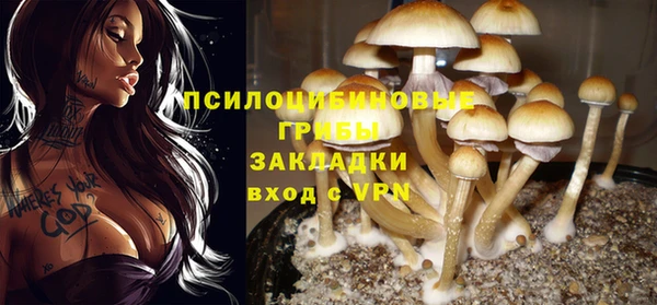 ALPHA PVP Мегион