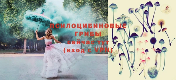мяу мяу мука Медногорск