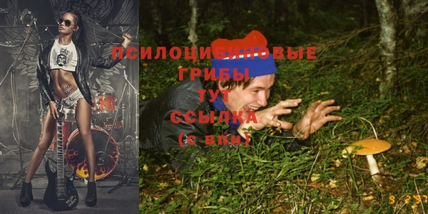 ALPHA PVP Мегион